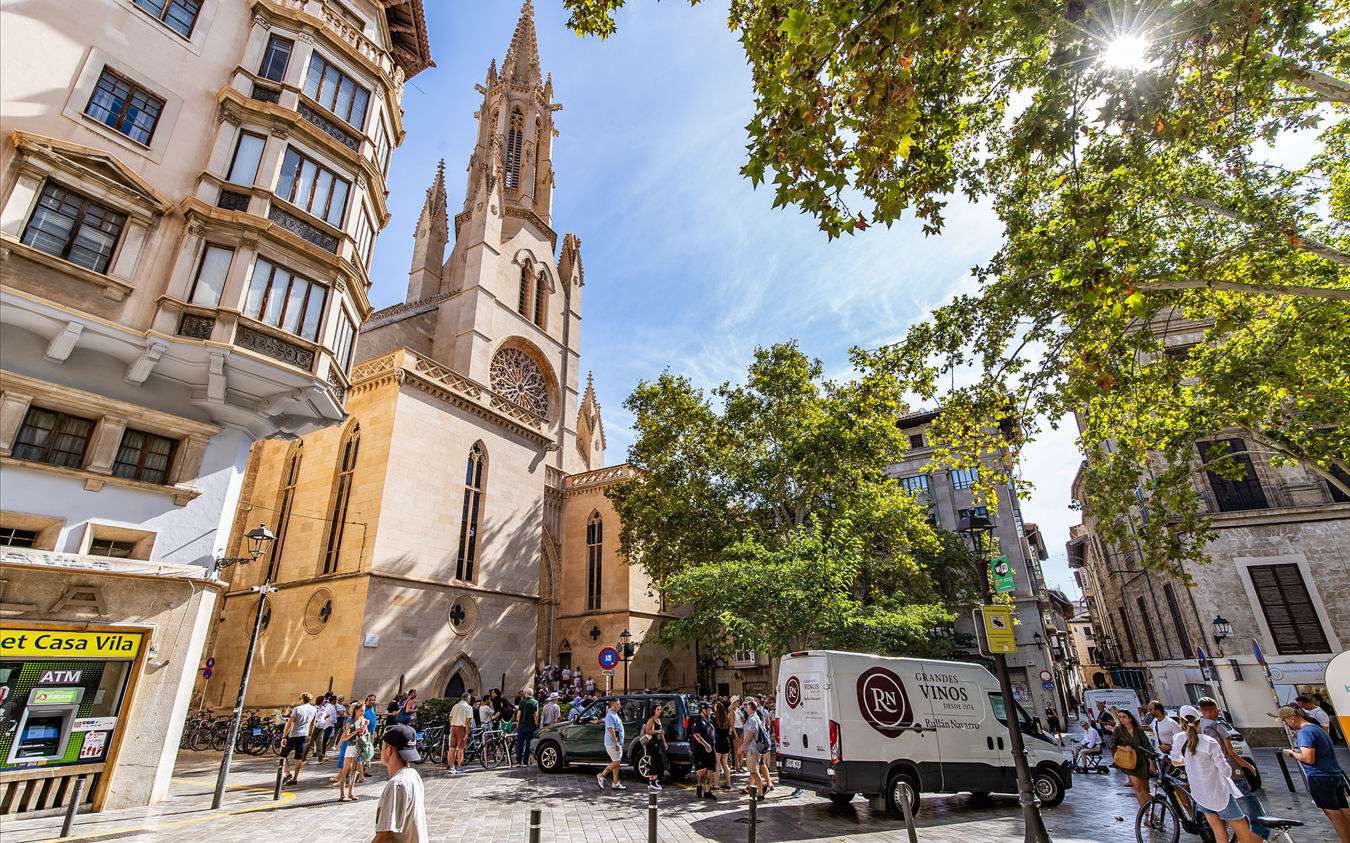 [object Object] - image