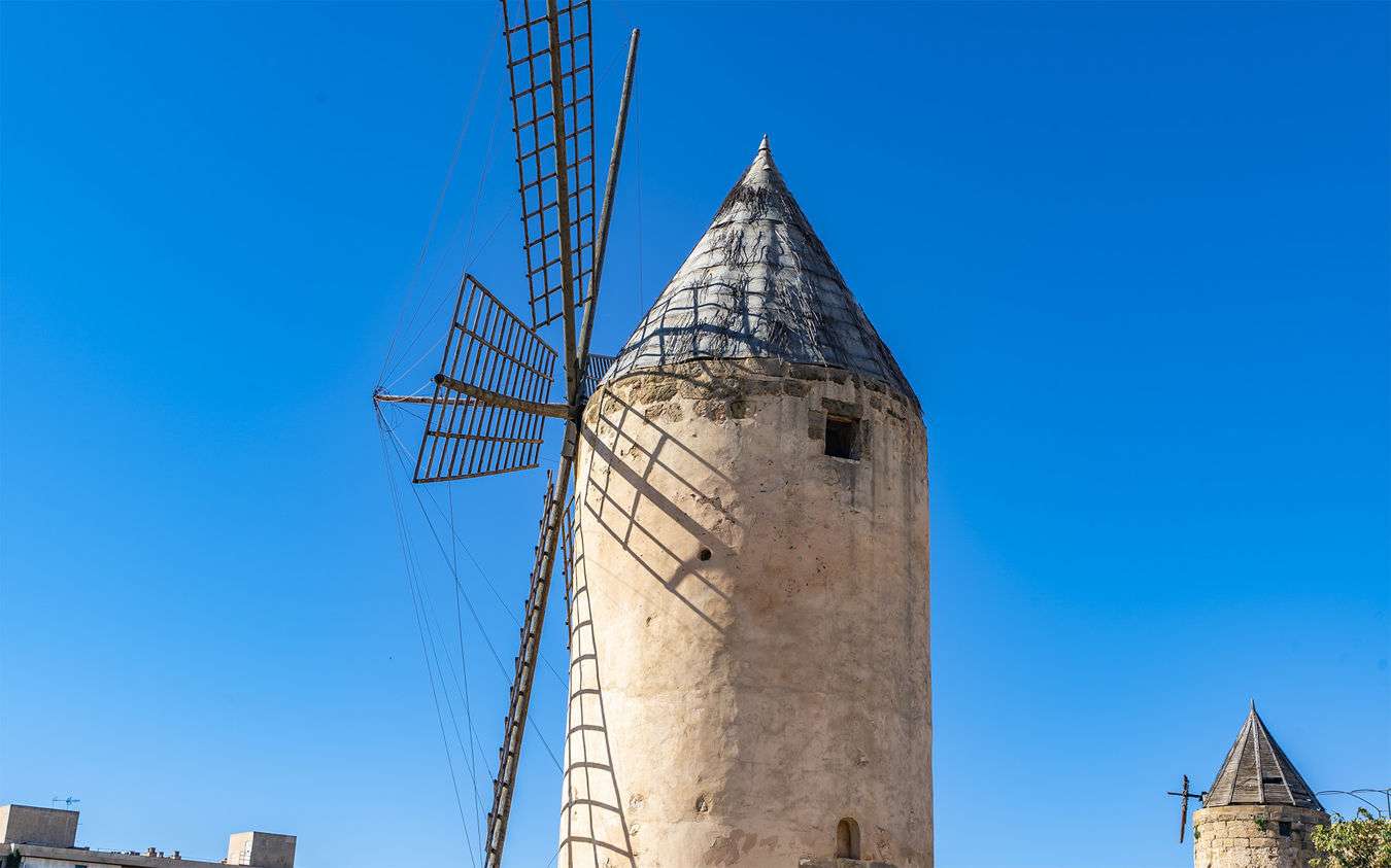 [object Object] - image