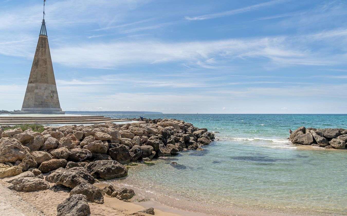 [object Object] - image