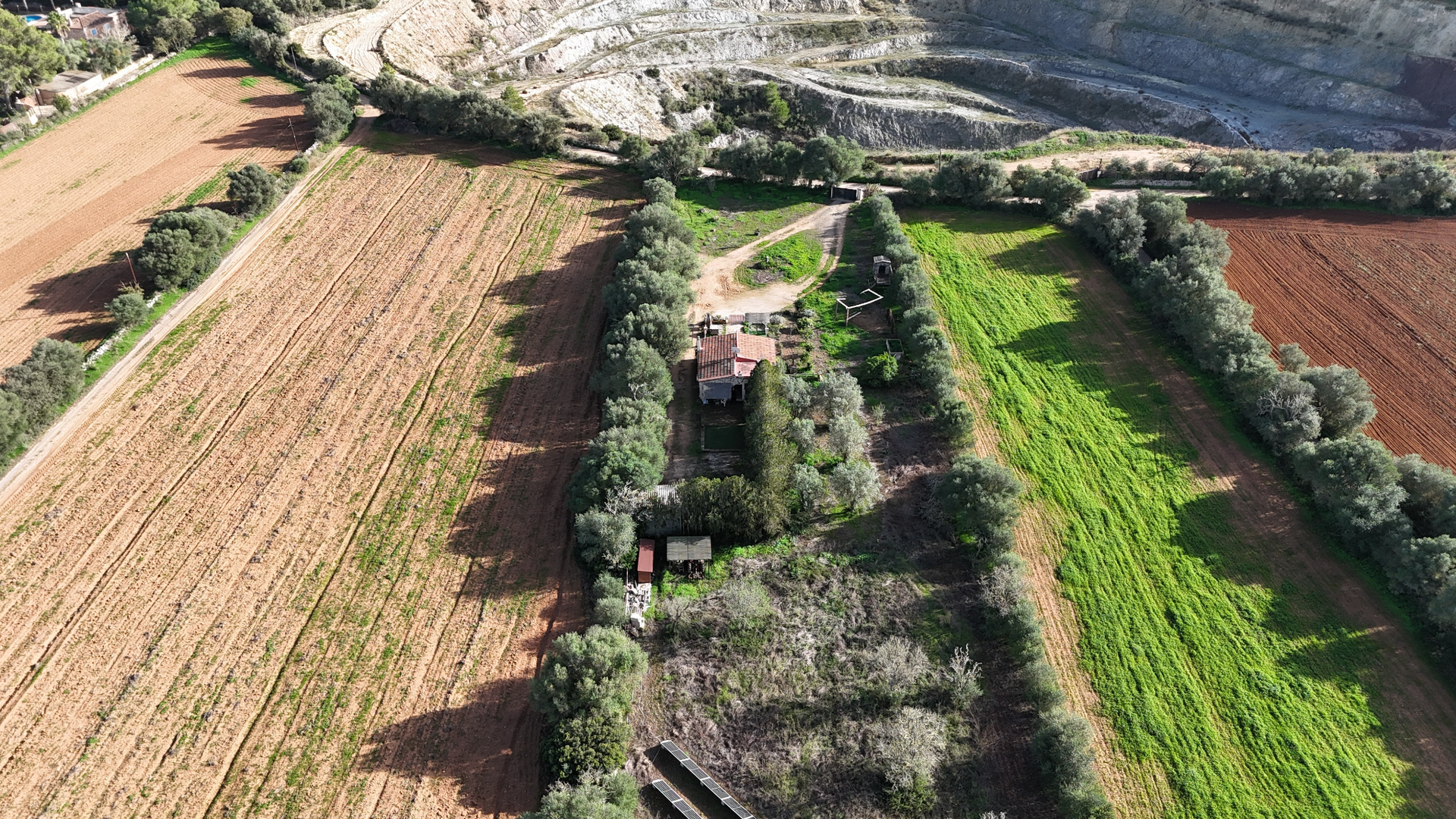 [object Object] - image