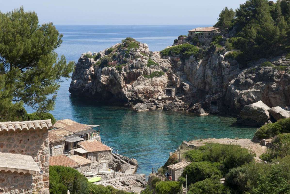 [object Object] - image