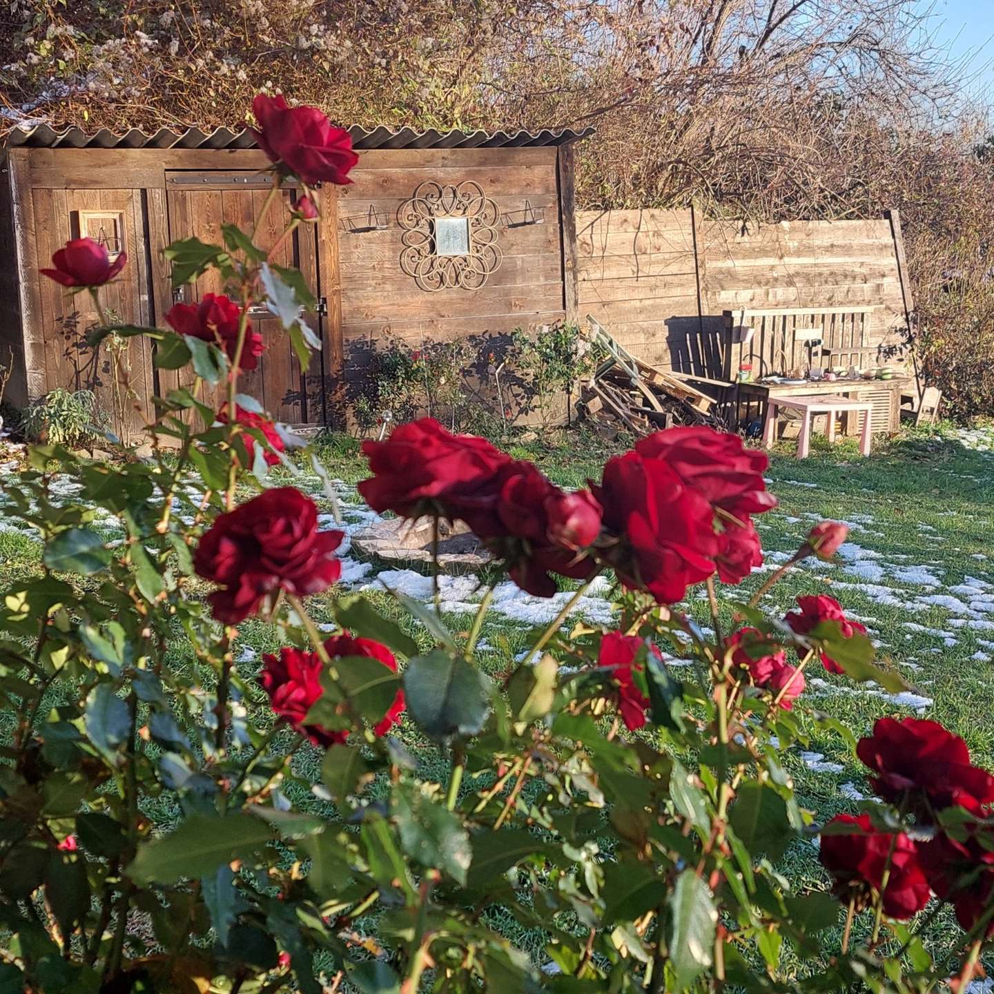 [object Object] - image