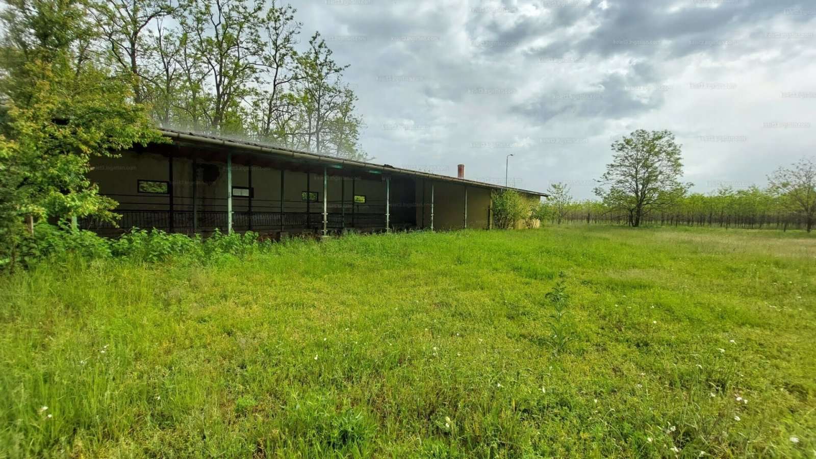 [object Object] - image