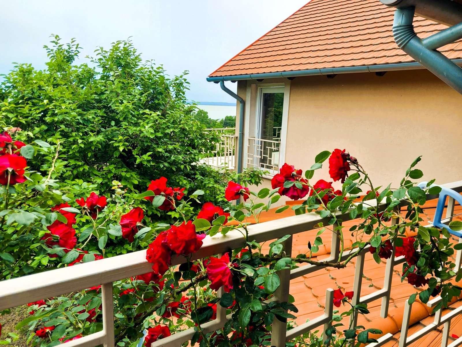 [object Object] - image