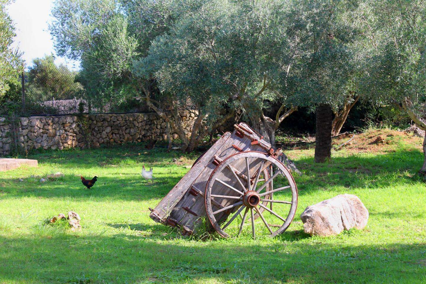 [object Object] - image