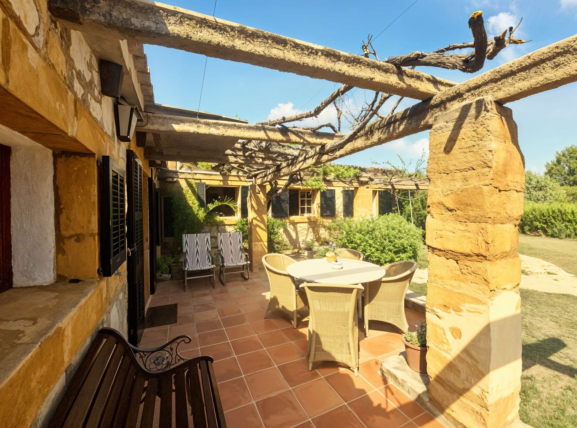 [object Object] - image