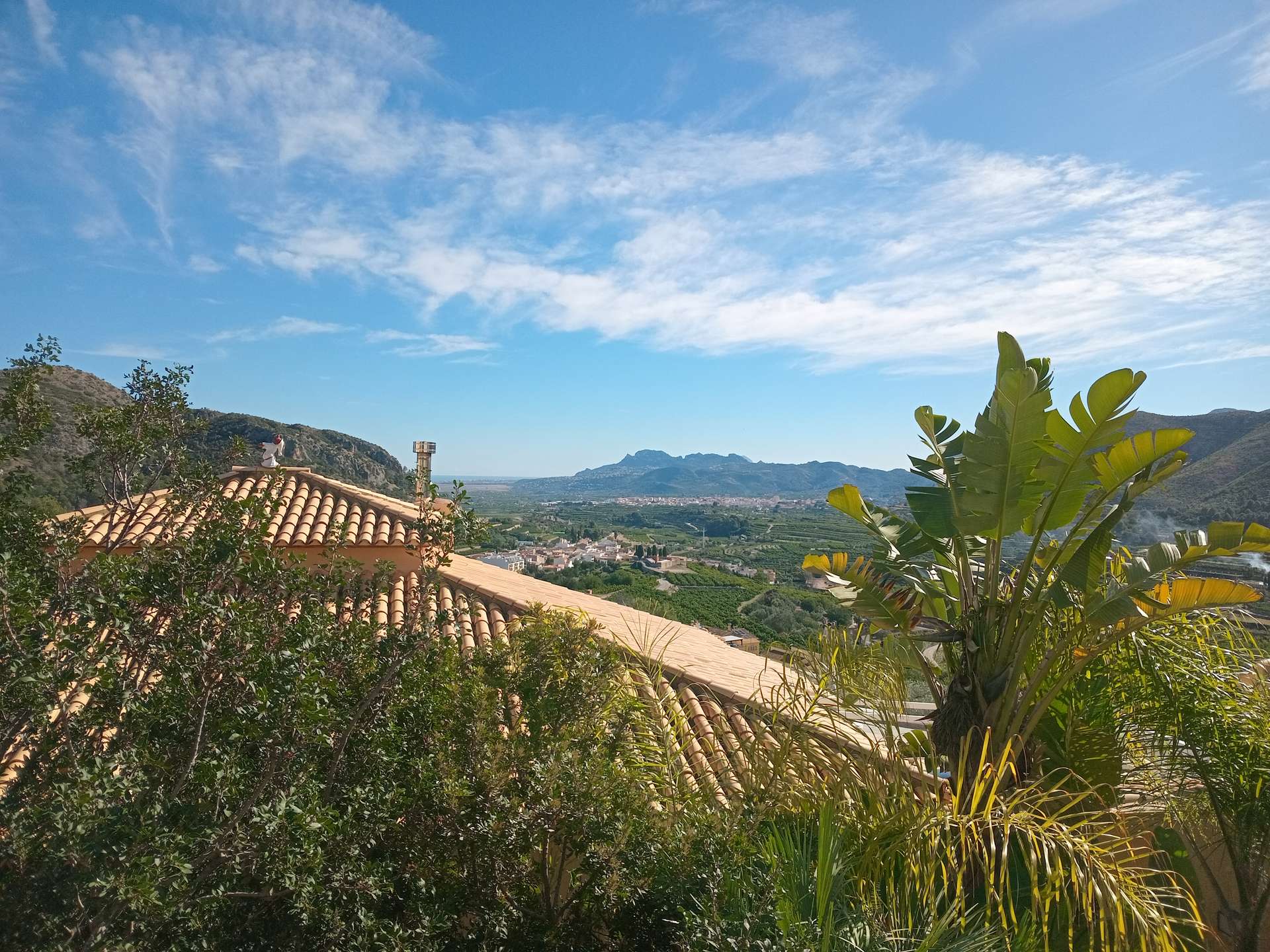 [object Object] - image