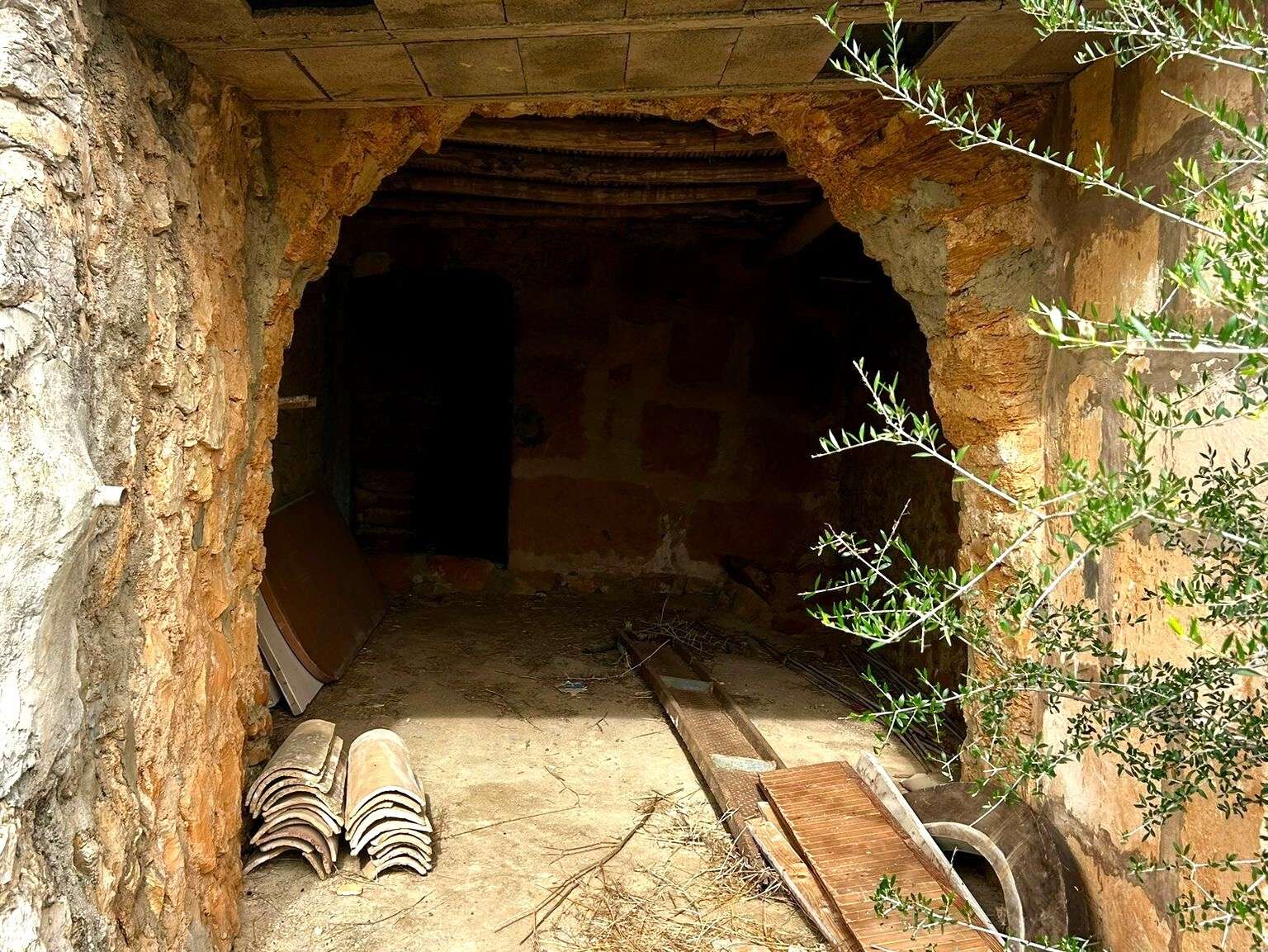 [object Object] - image