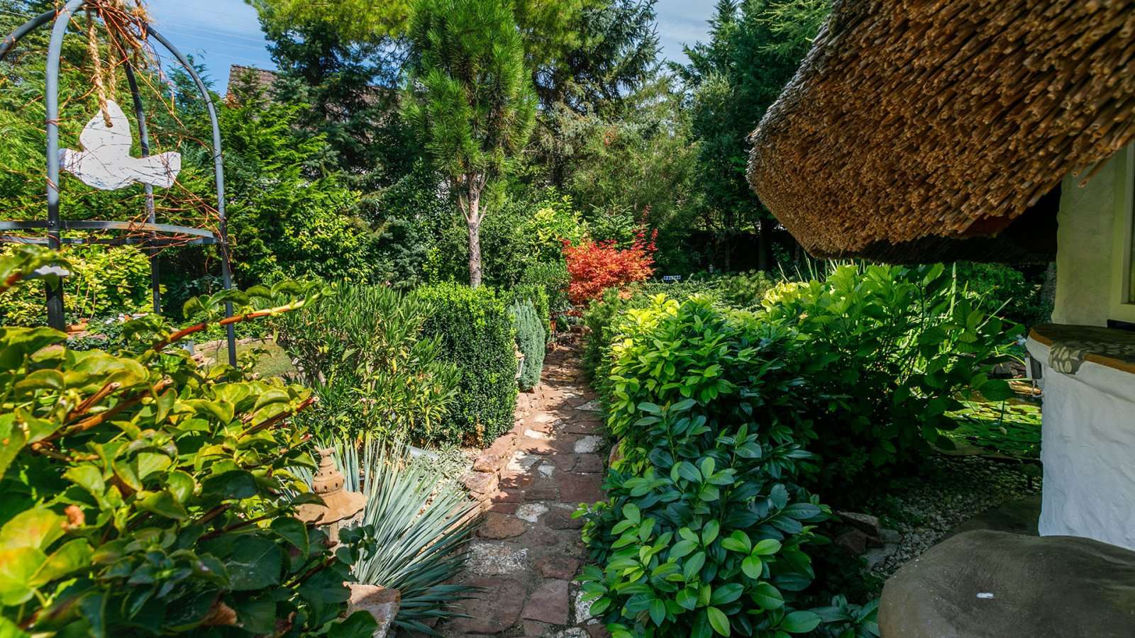 [object Object] - image