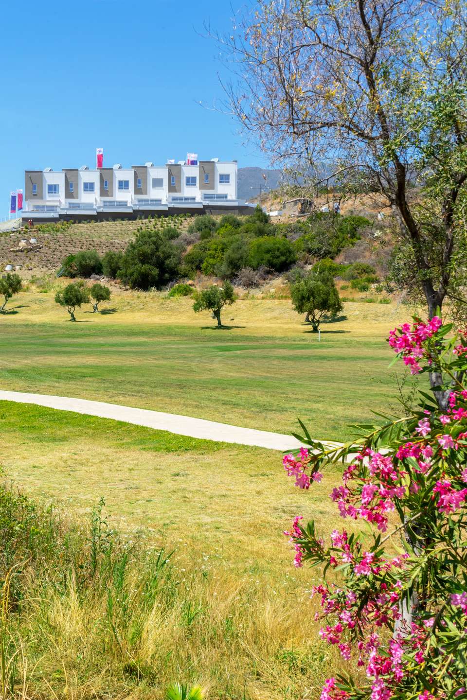 [object Object] - image