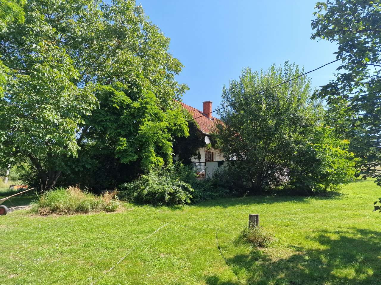 [object Object] - image