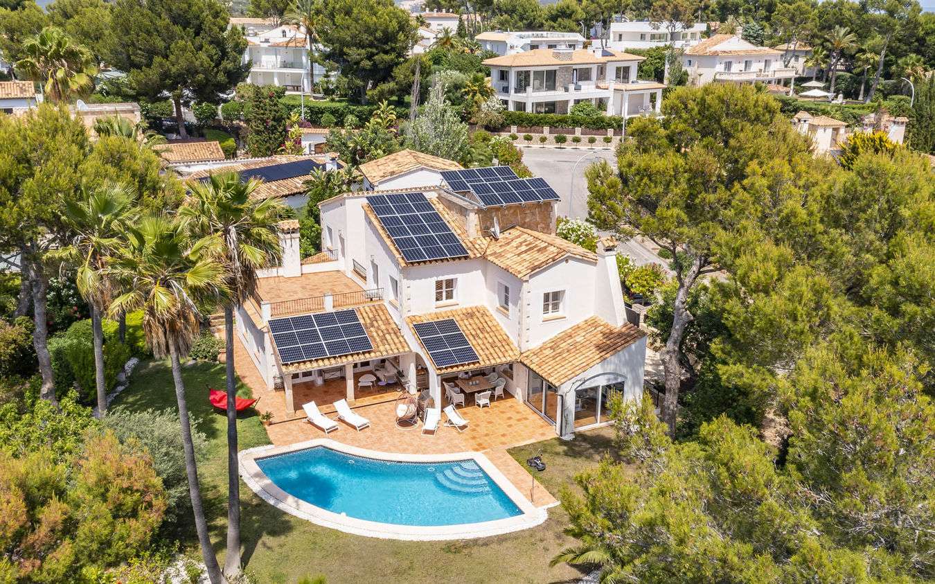 [object Object] - image