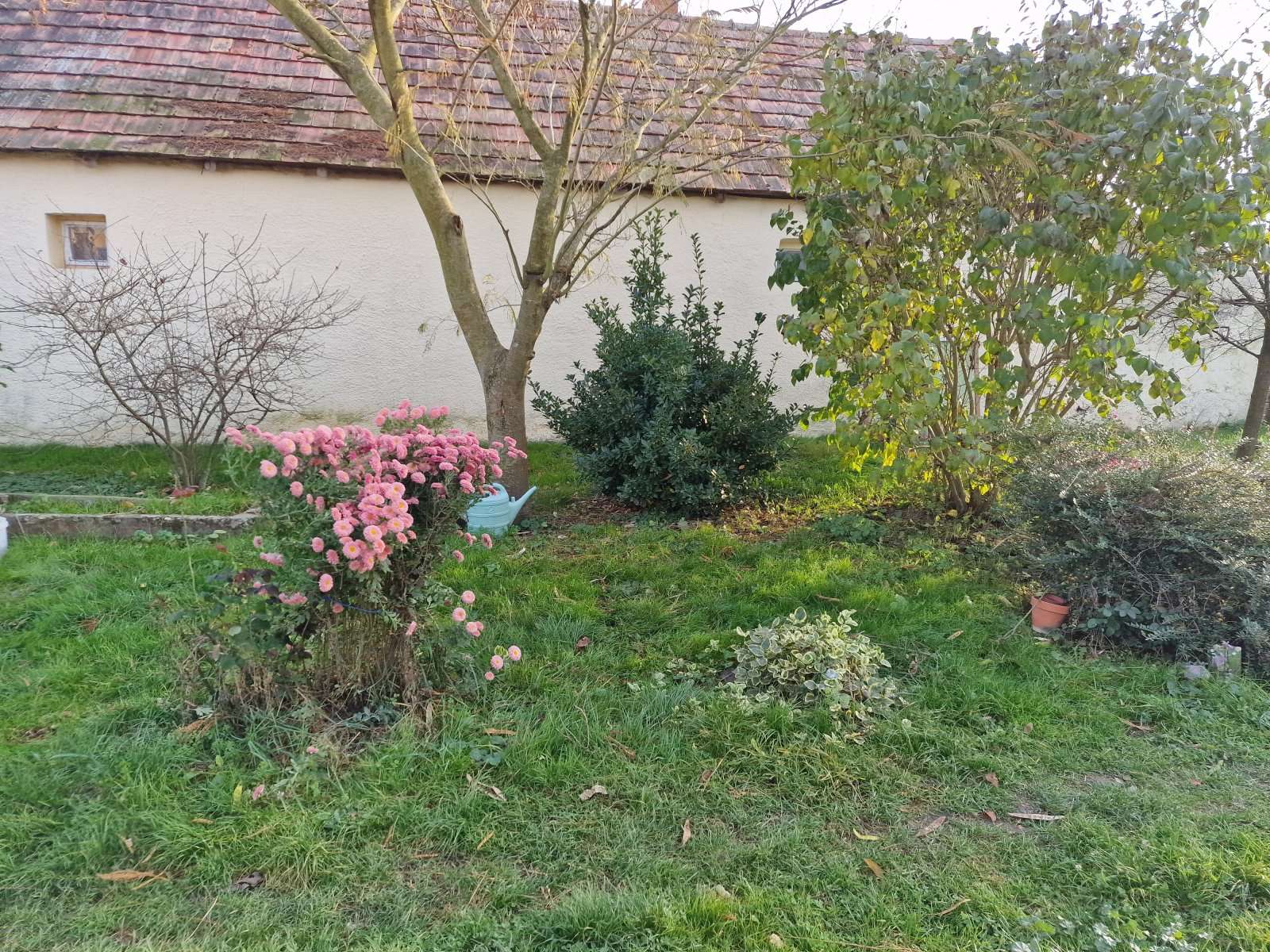 [object Object] - image