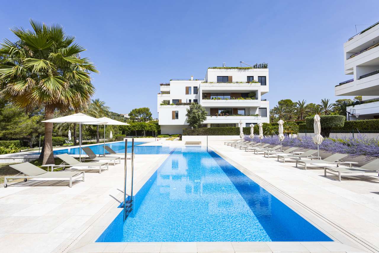 [object Object] - image