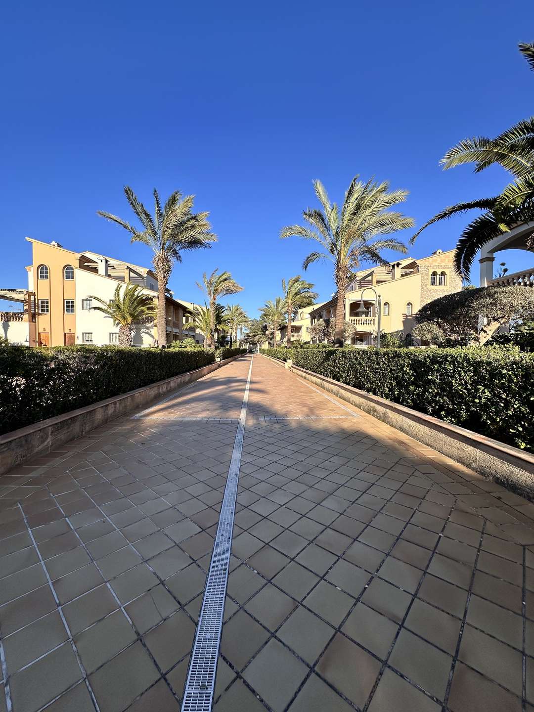 [object Object] - image