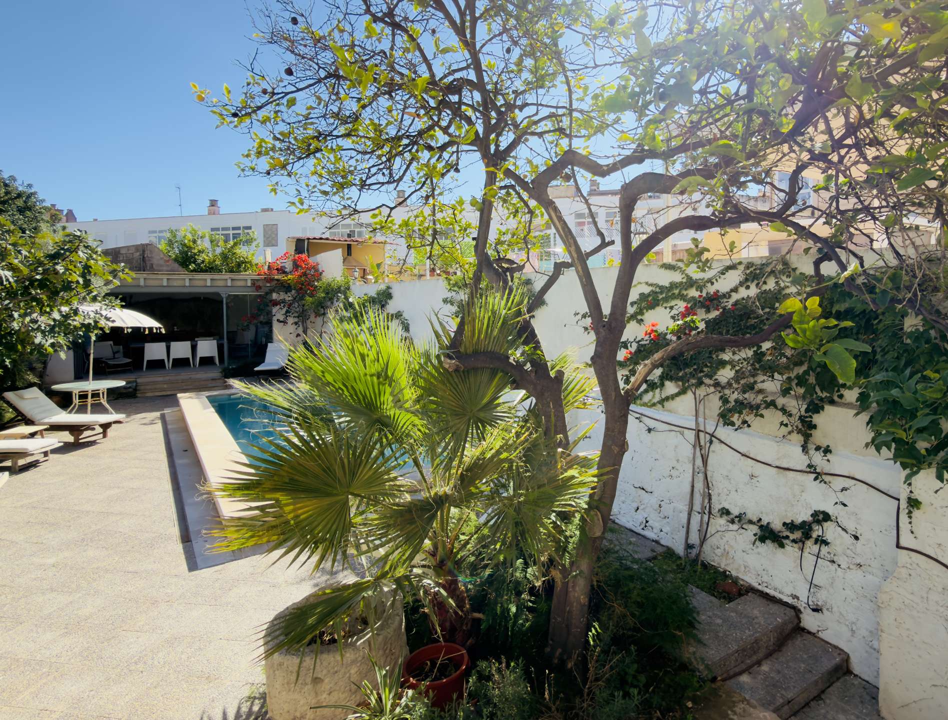 [object Object] - image