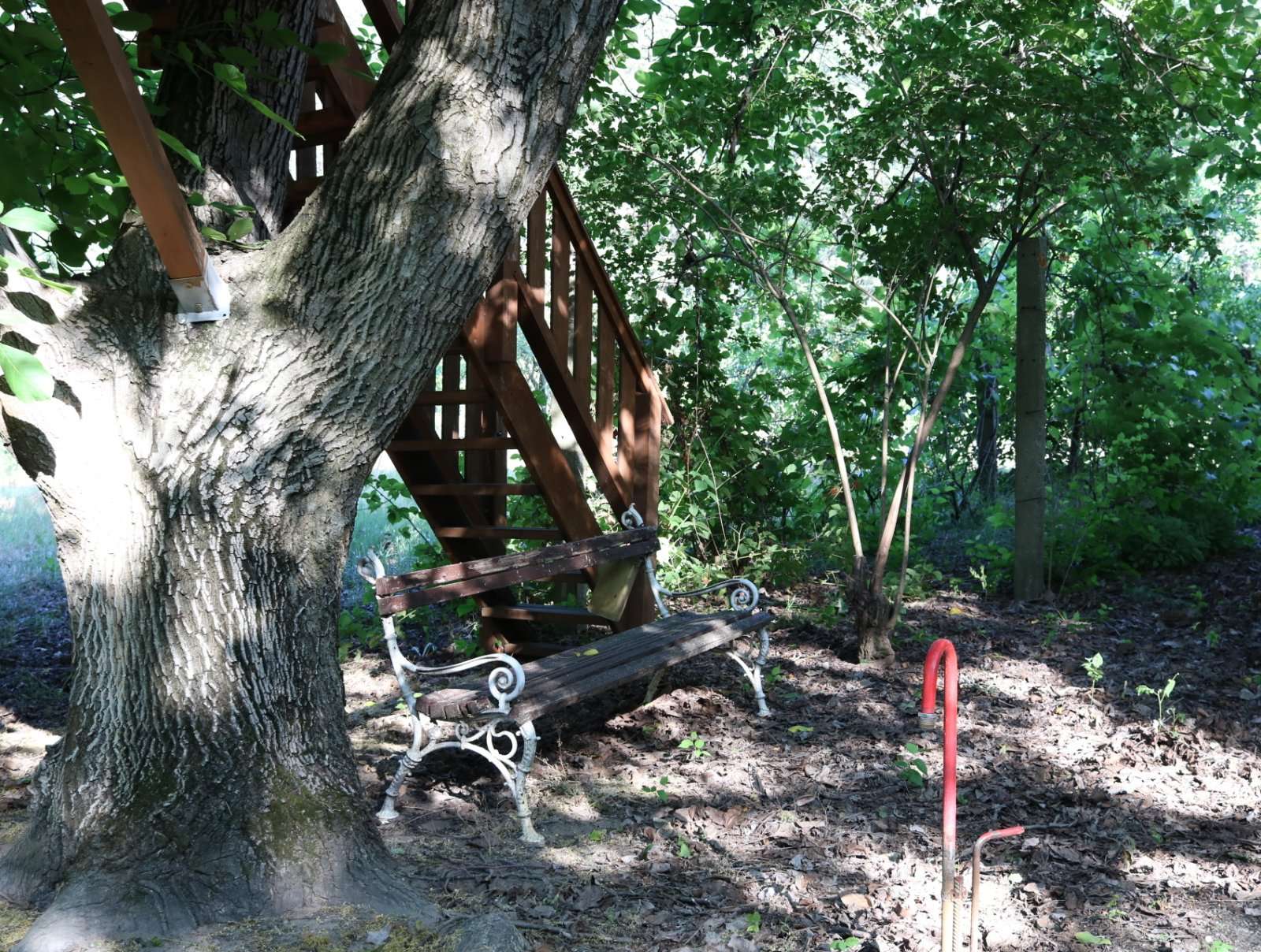 [object Object] - image