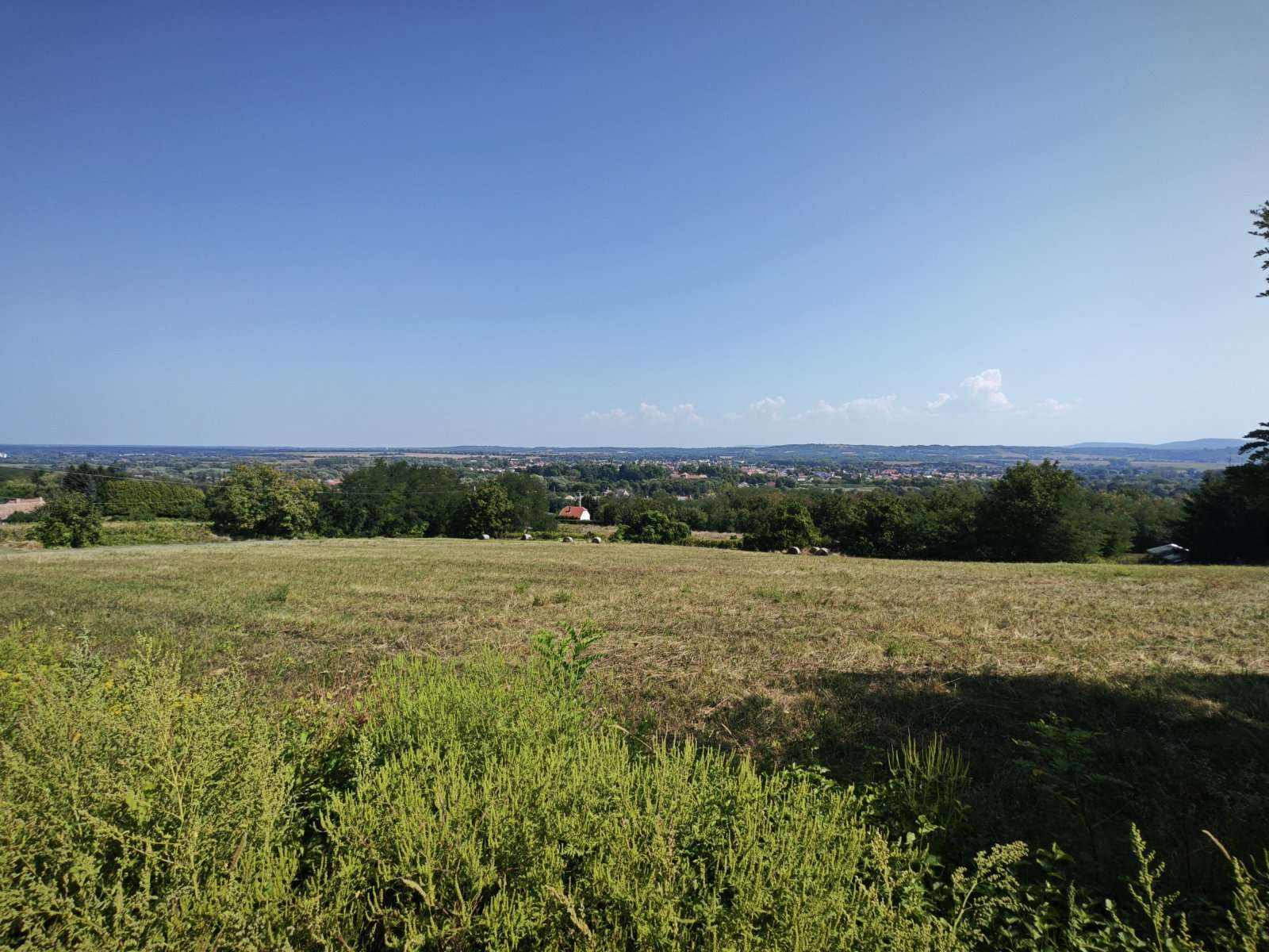 [object Object] - image