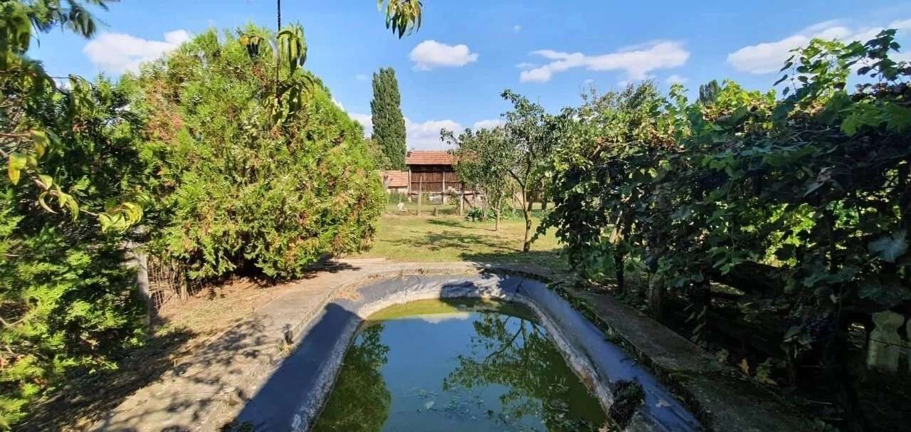 [object Object] - image