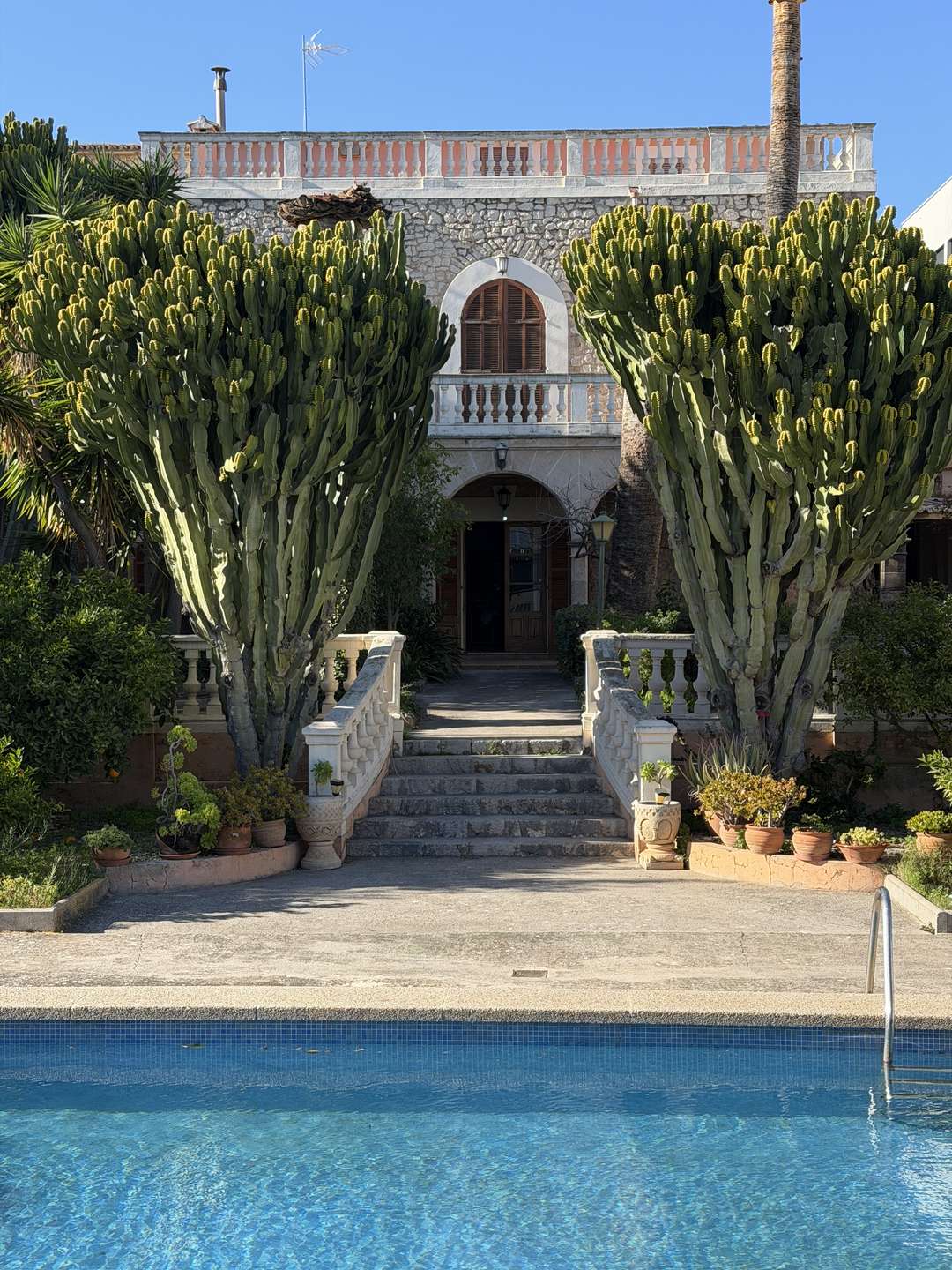 [object Object] - image