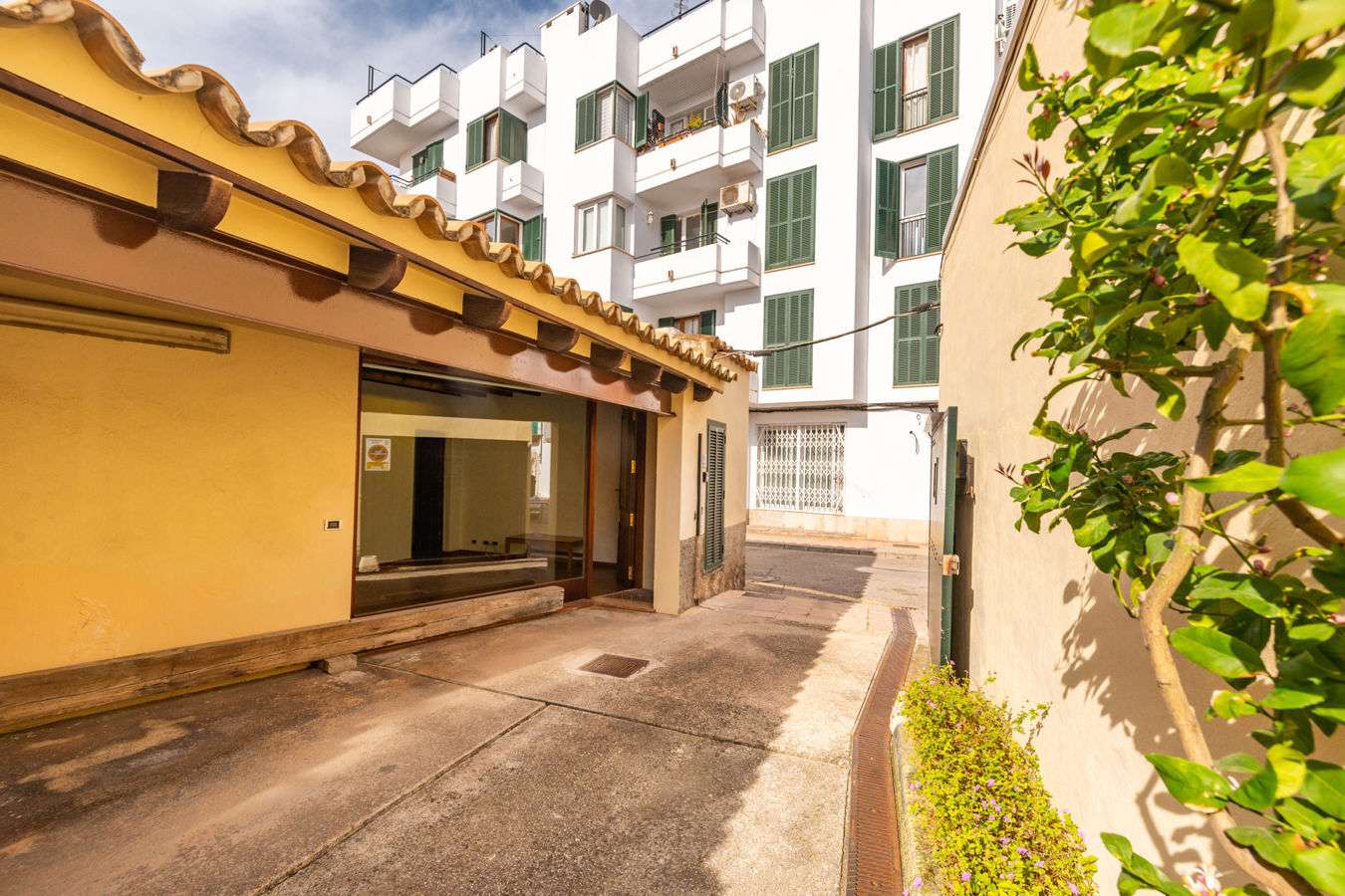 [object Object] - image