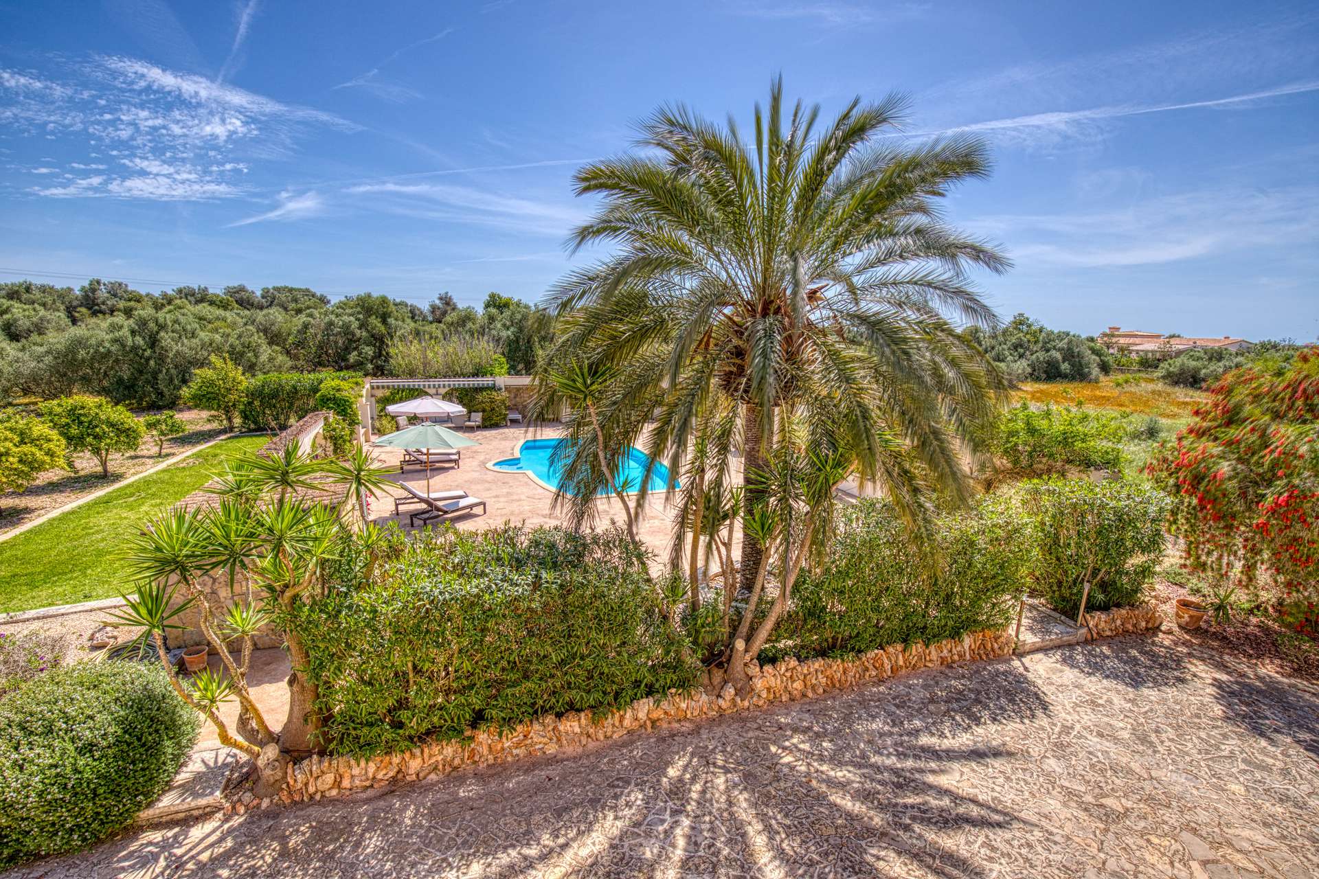 [object Object] - image