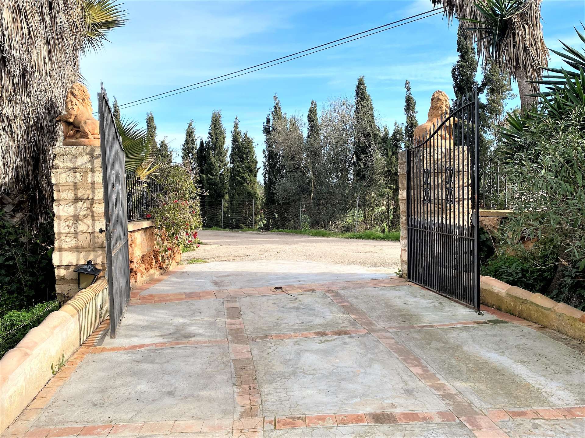 [object Object] - image