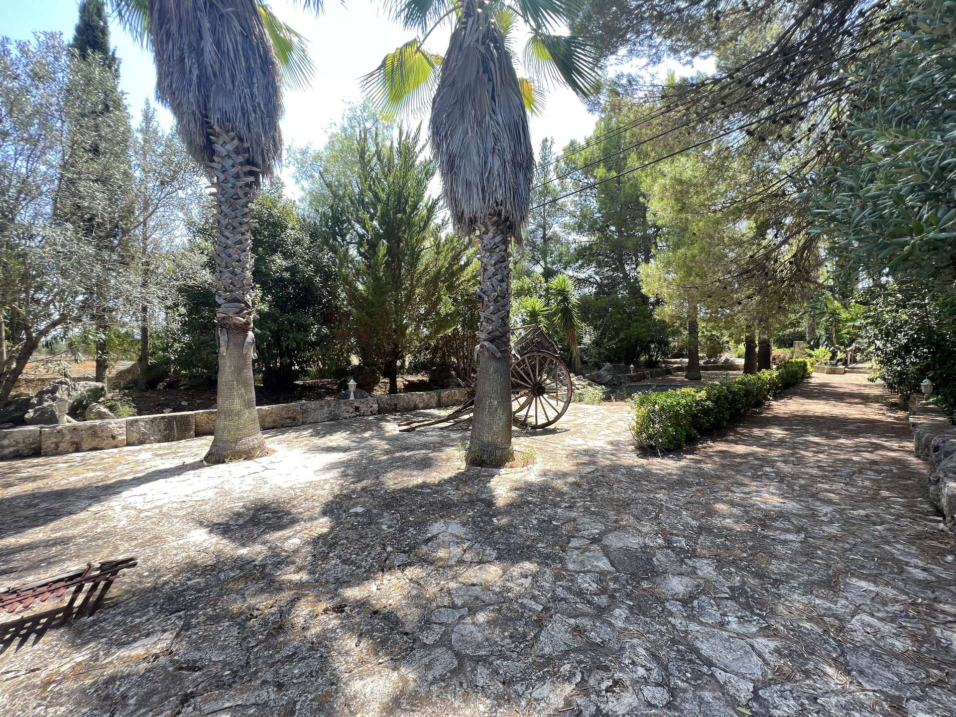 [object Object] - image