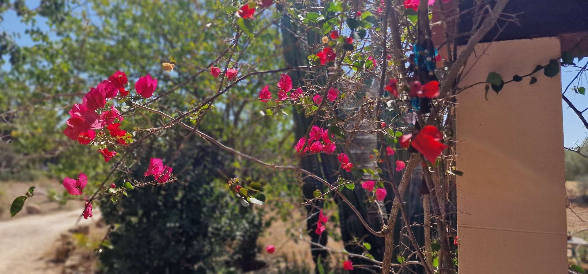 [object Object] - image