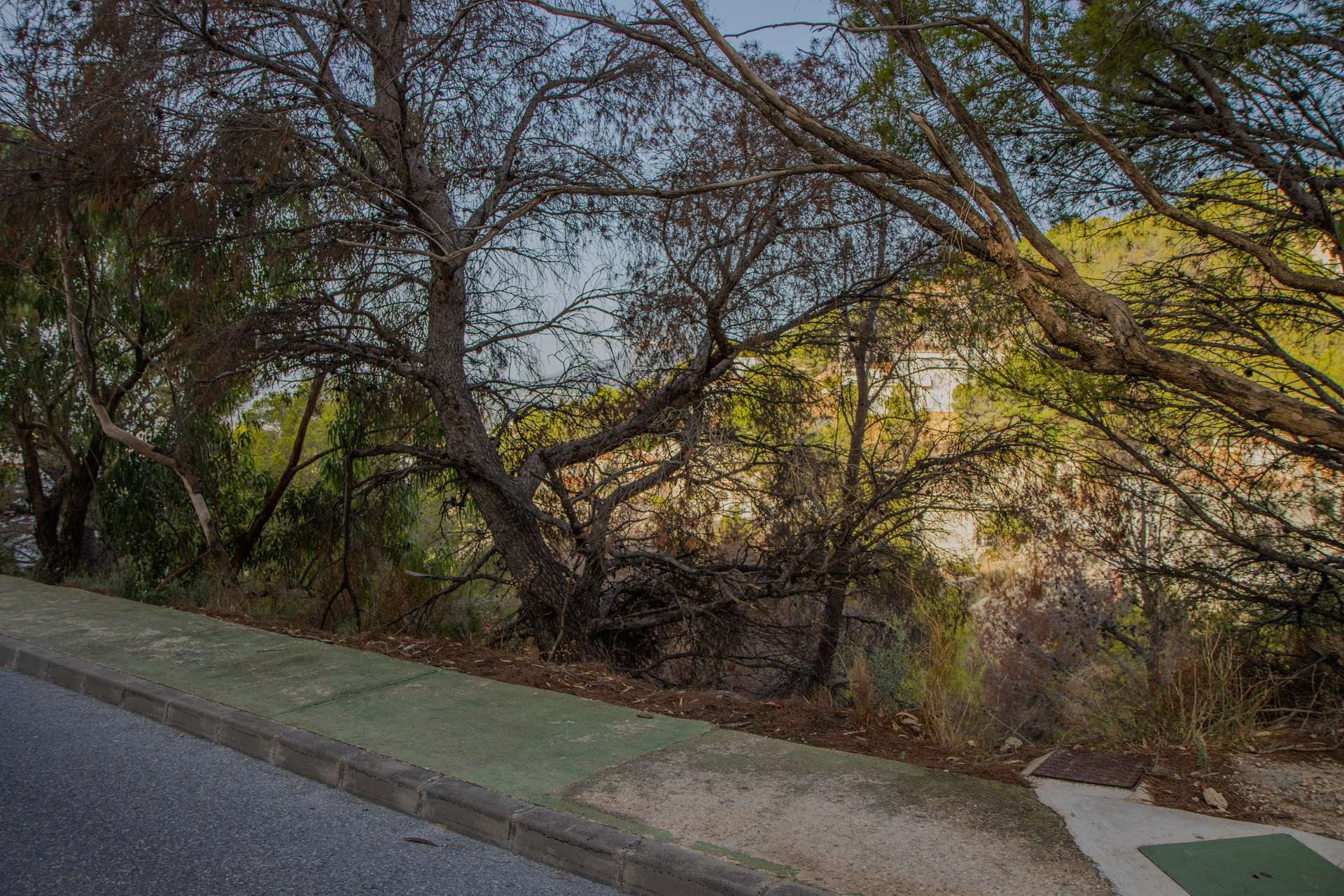 [object Object] - image