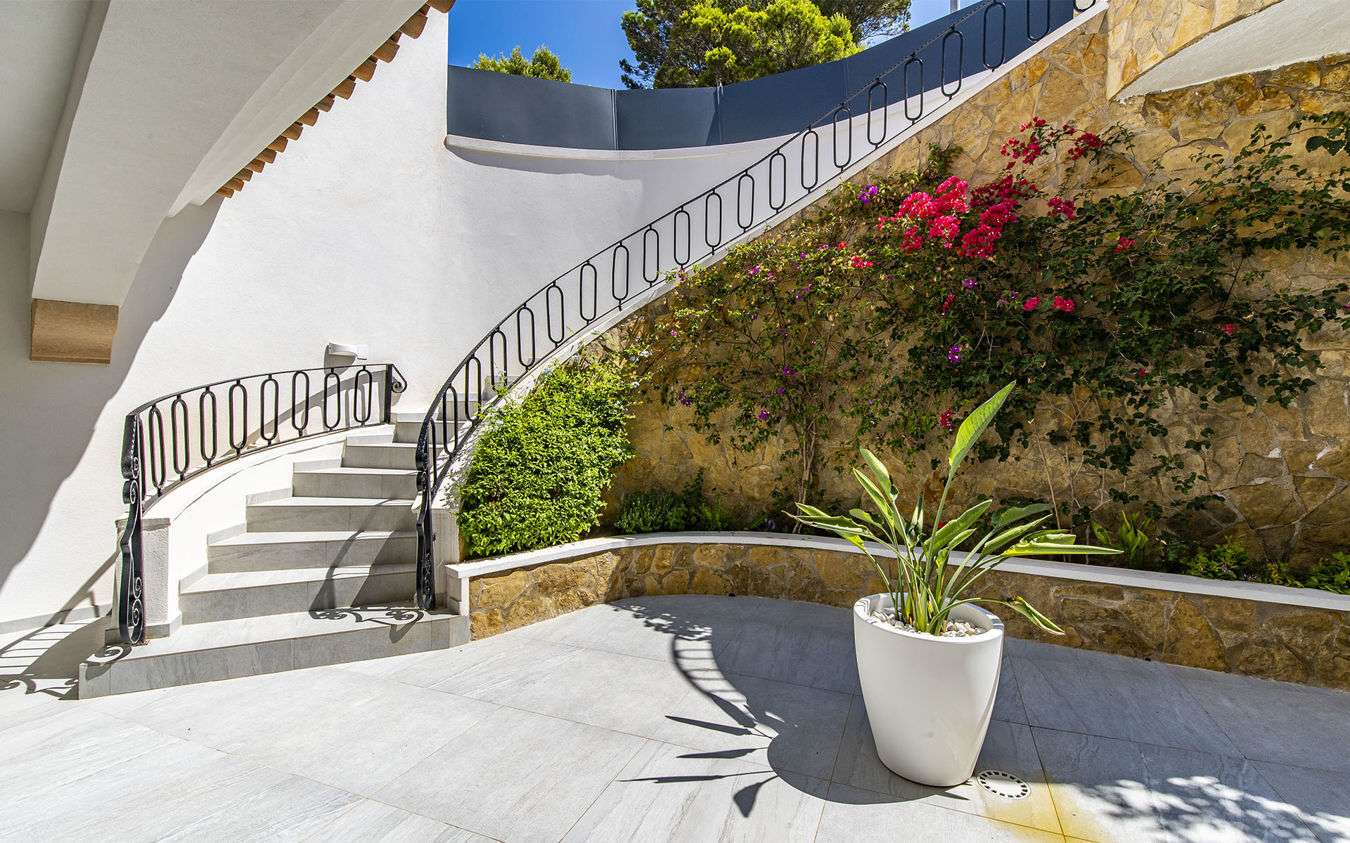 [object Object] - image