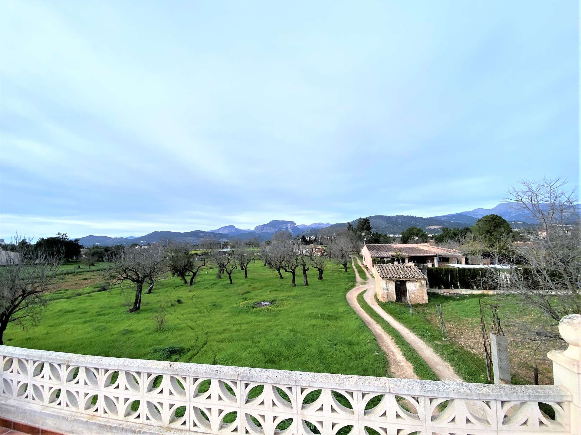 [object Object] - image