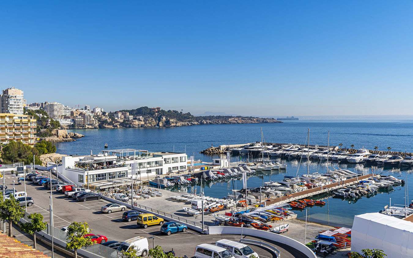 [object Object] - image