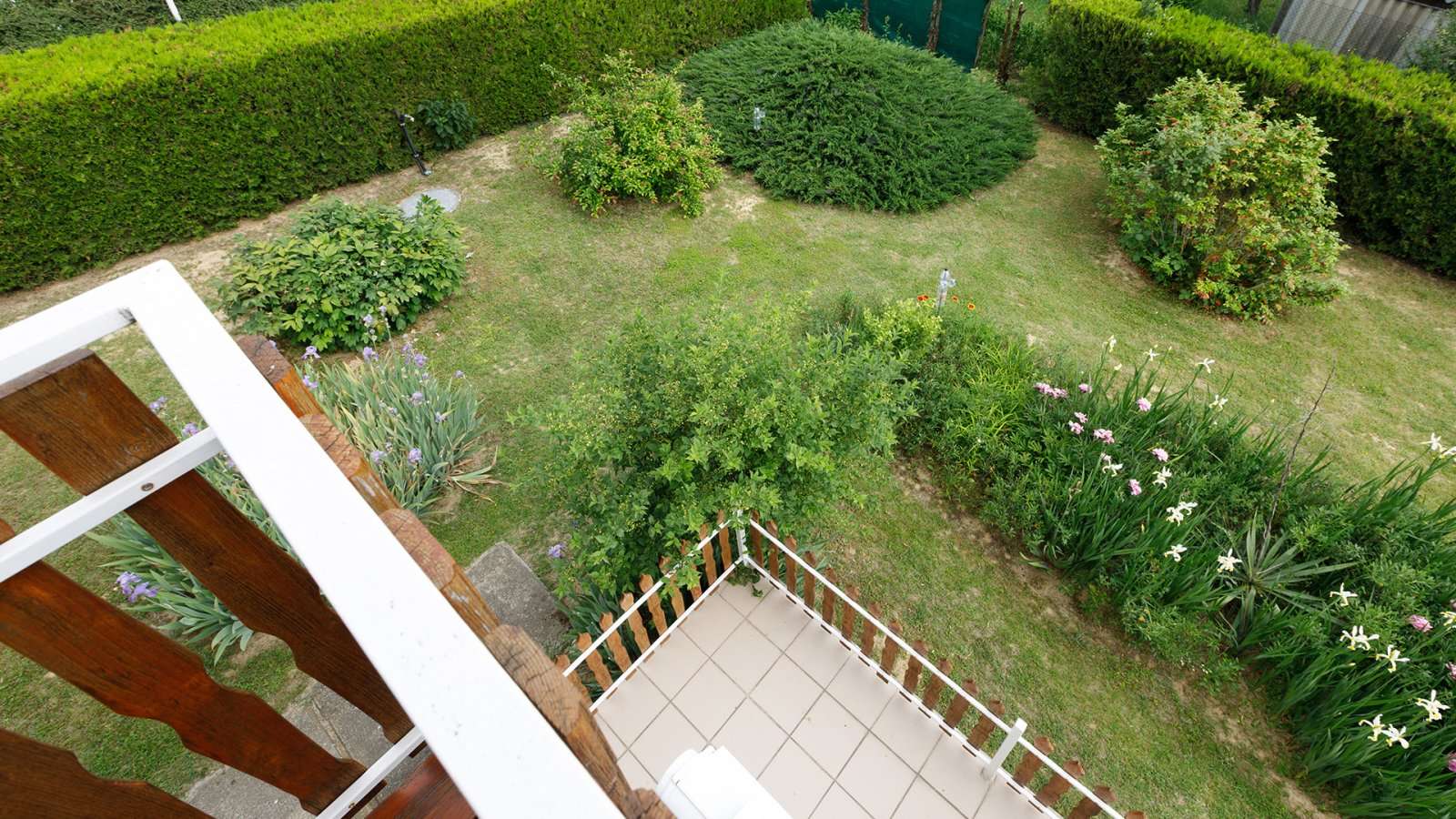 [object Object] - image