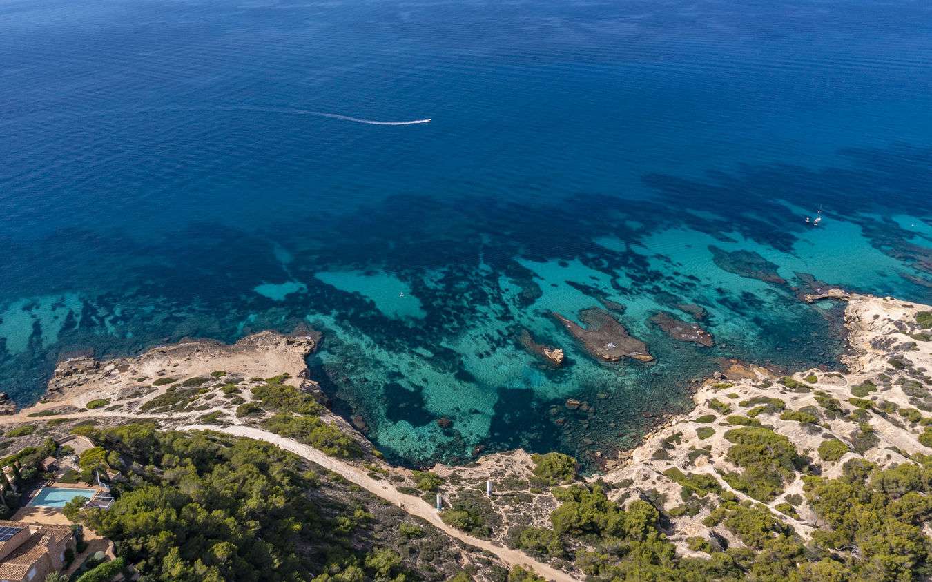 [object Object] - image