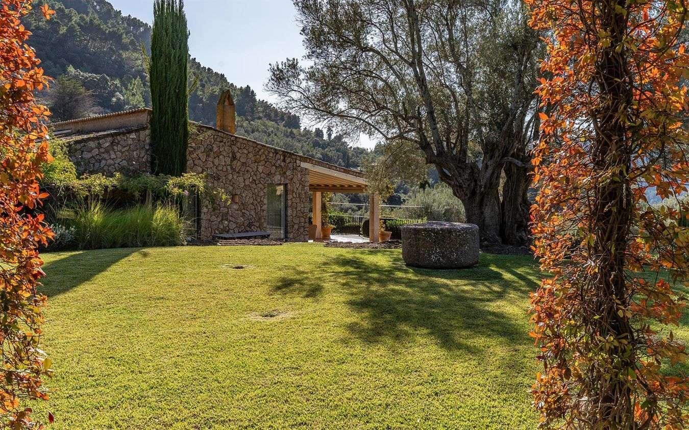 [object Object] - image