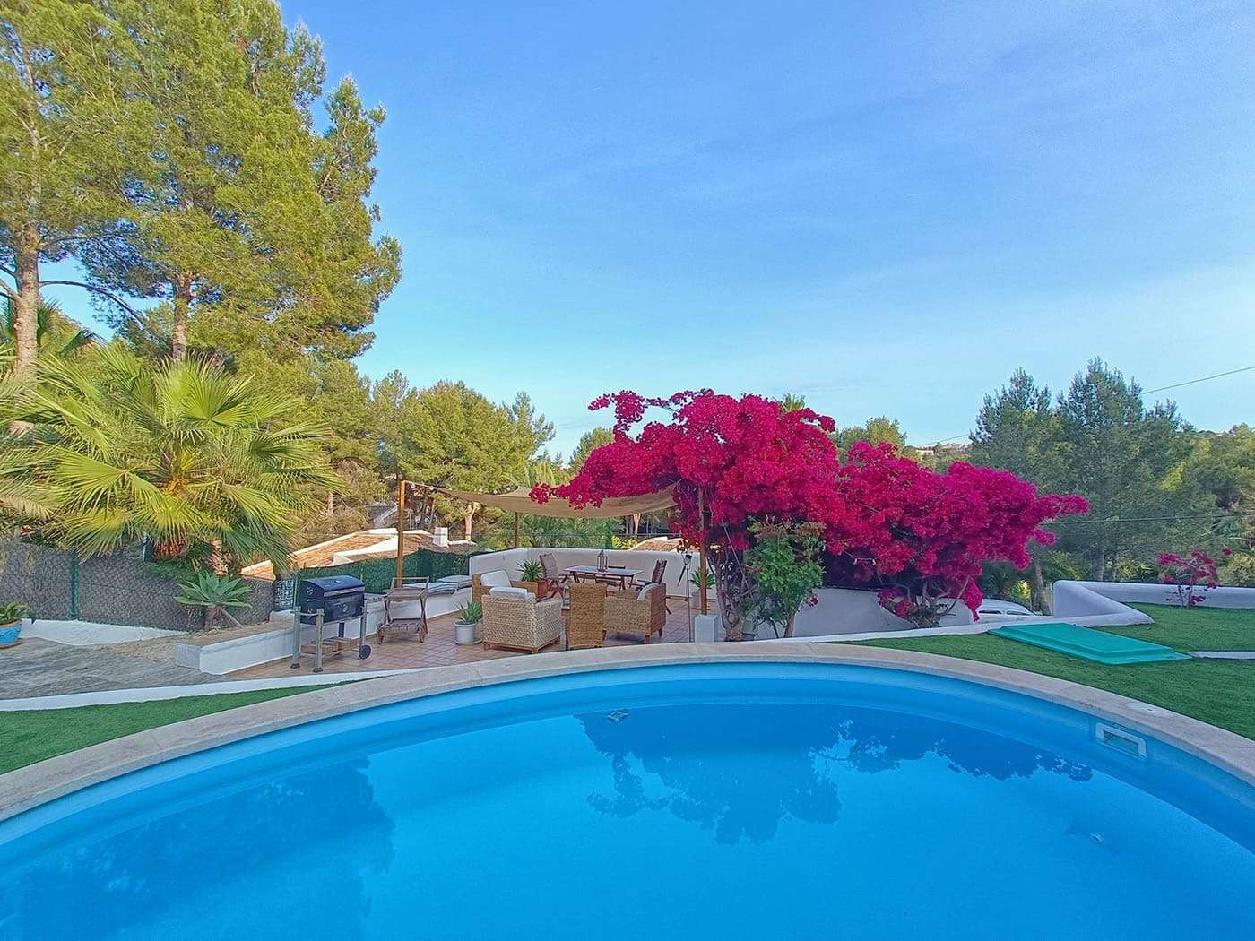 [object Object] - image