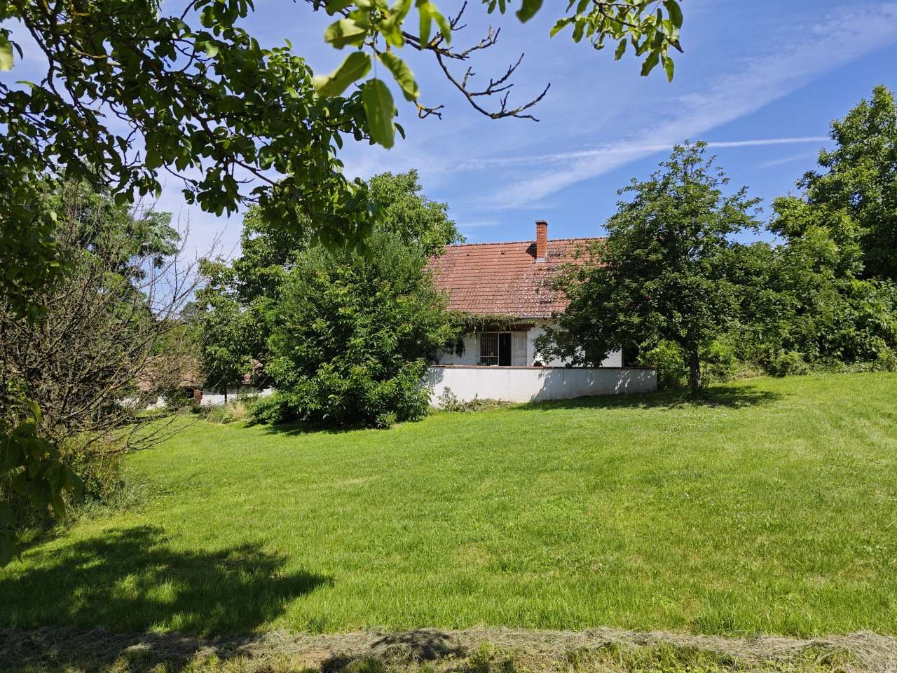 [object Object] - image