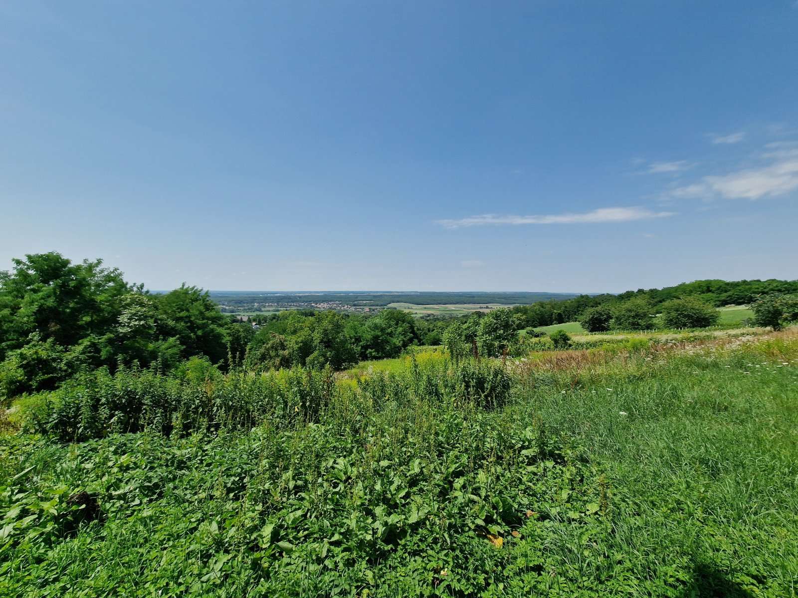 [object Object] - image