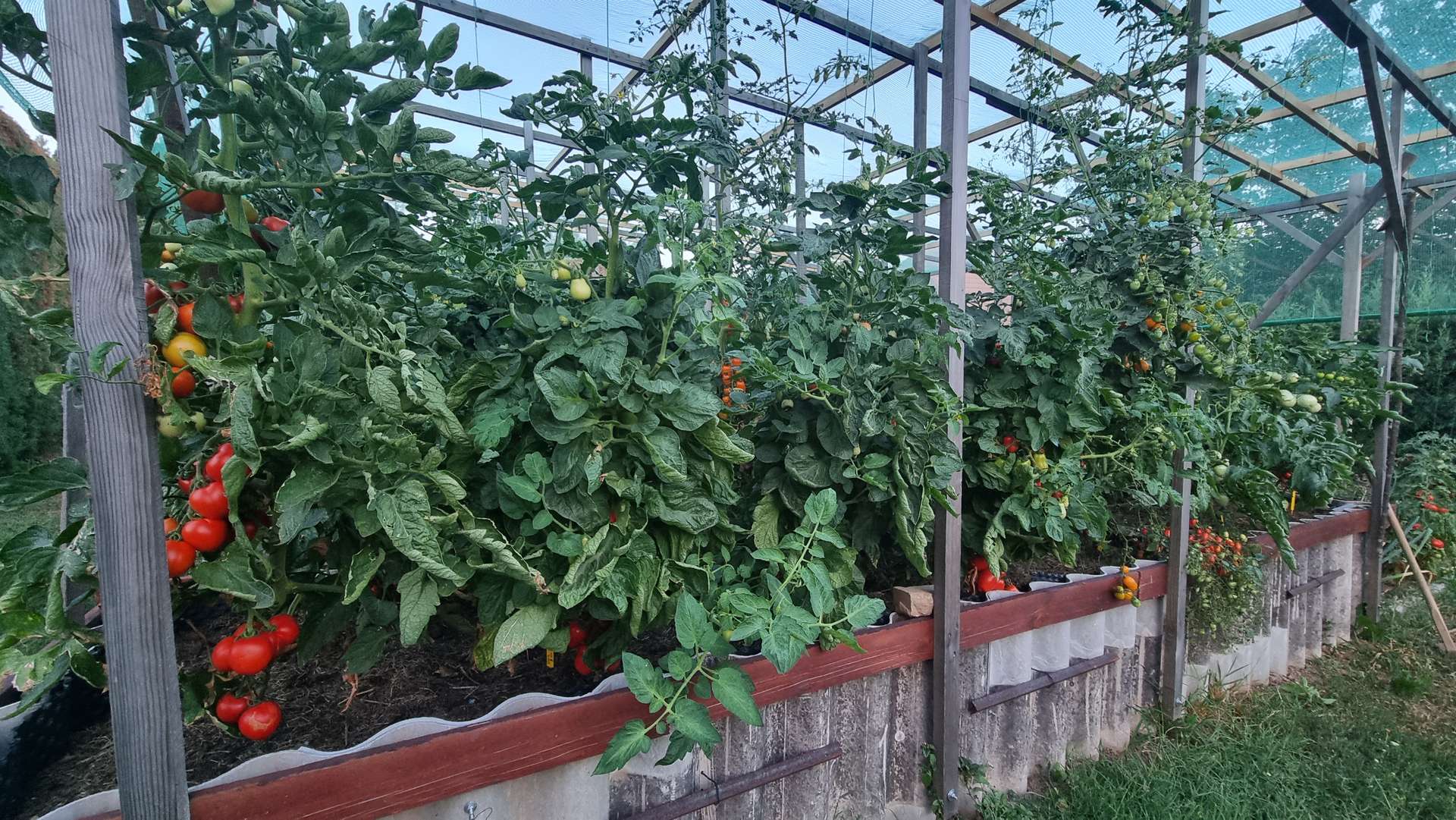 [object Object] - image