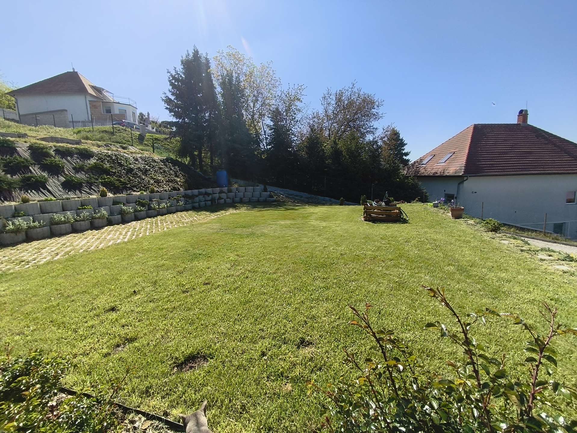 [object Object] - image