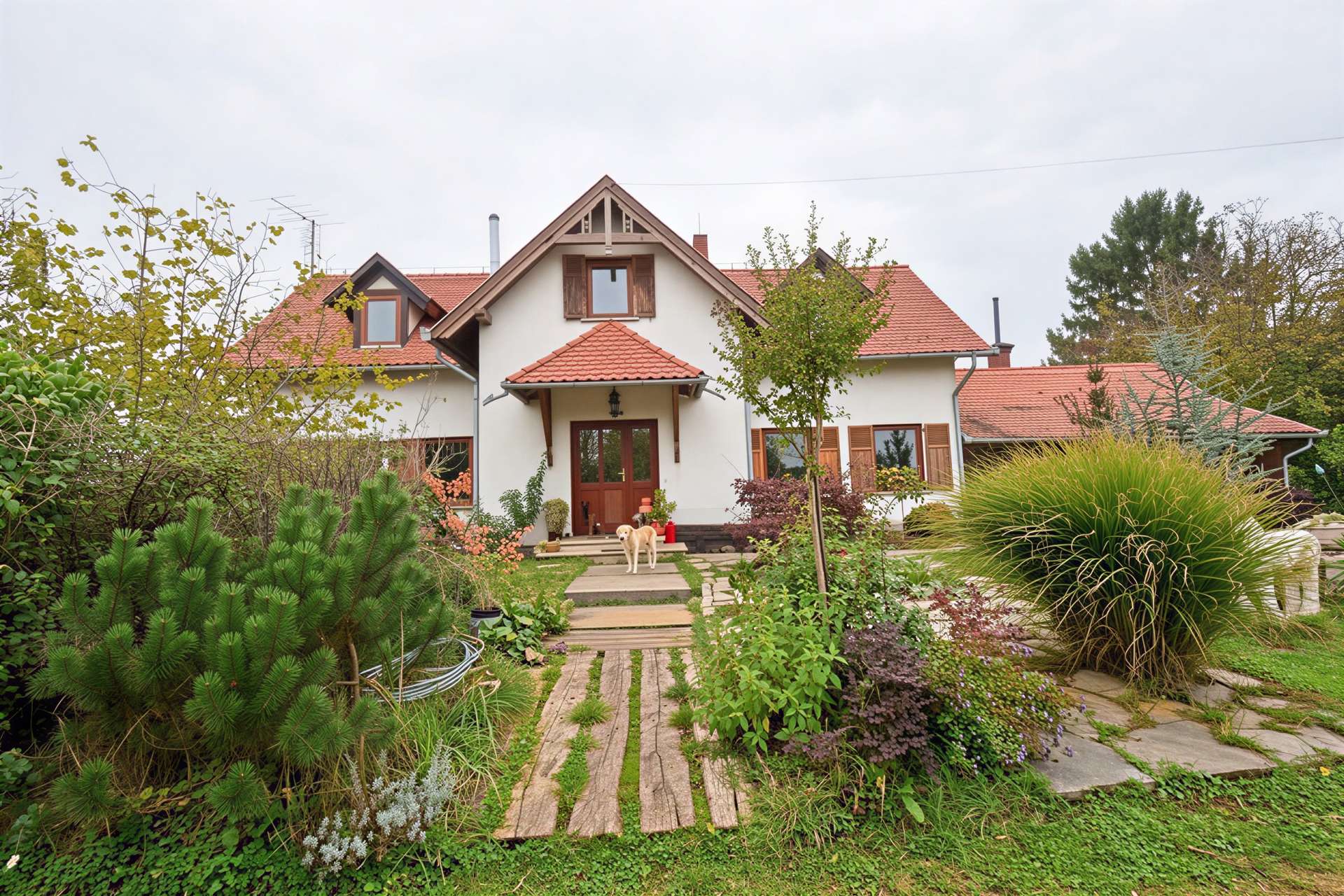 [object Object] - image