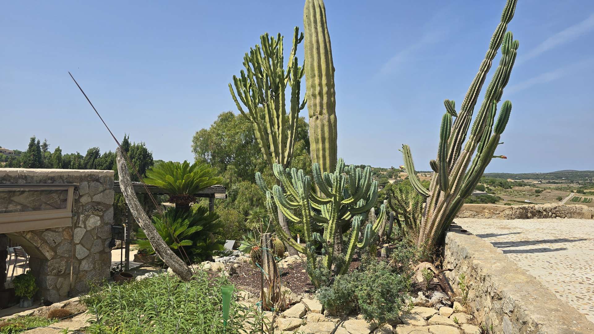 [object Object] - image