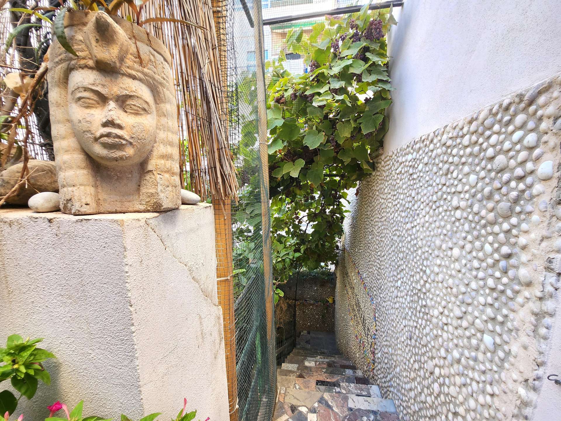 [object Object] - image