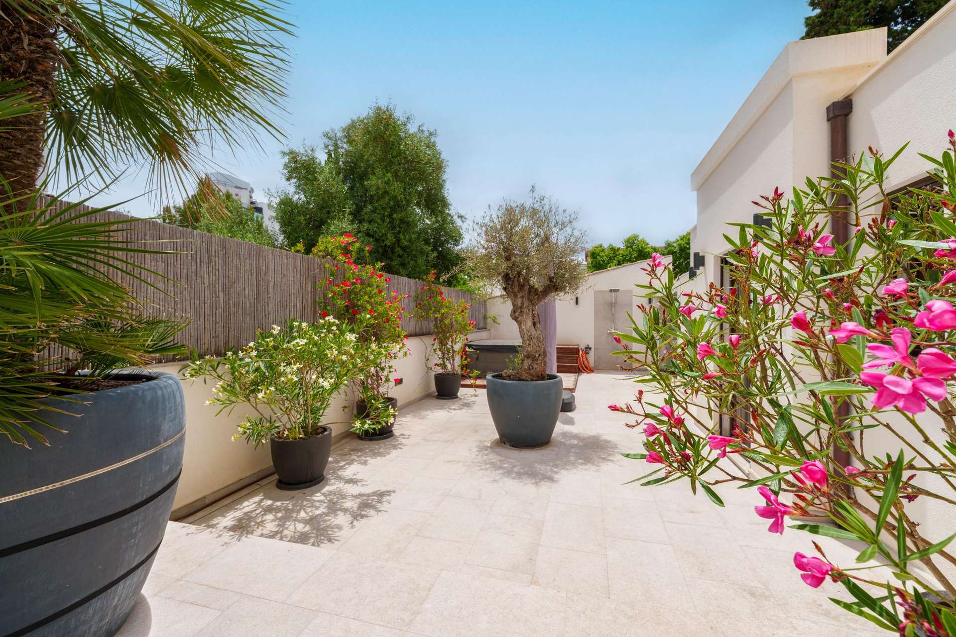 [object Object] - image