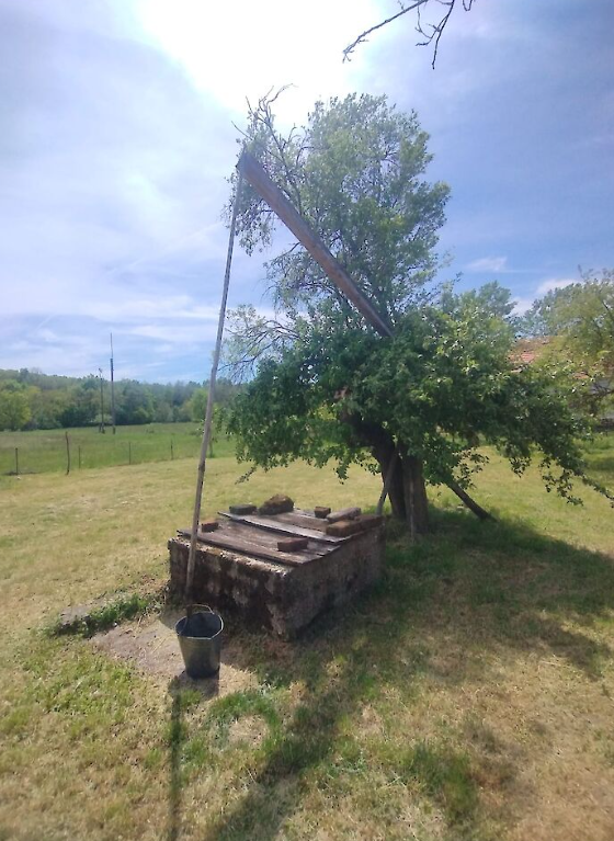 [object Object] - image