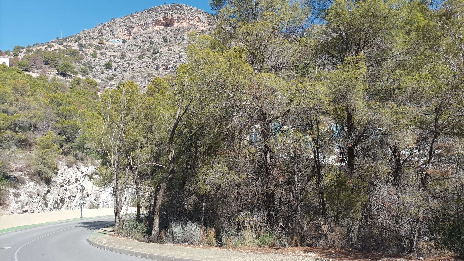 [object Object] - image