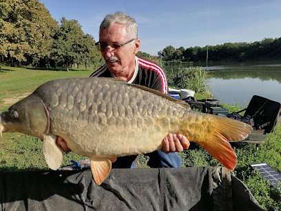 [object Object] - image