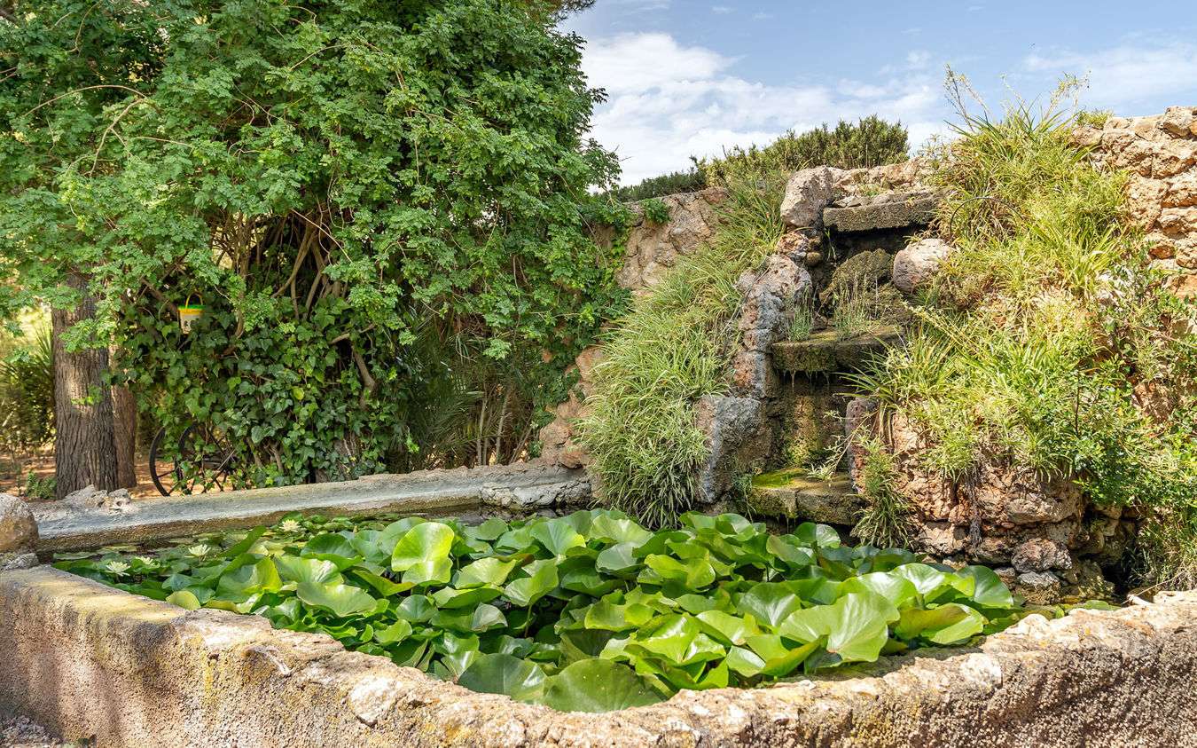 [object Object] - image