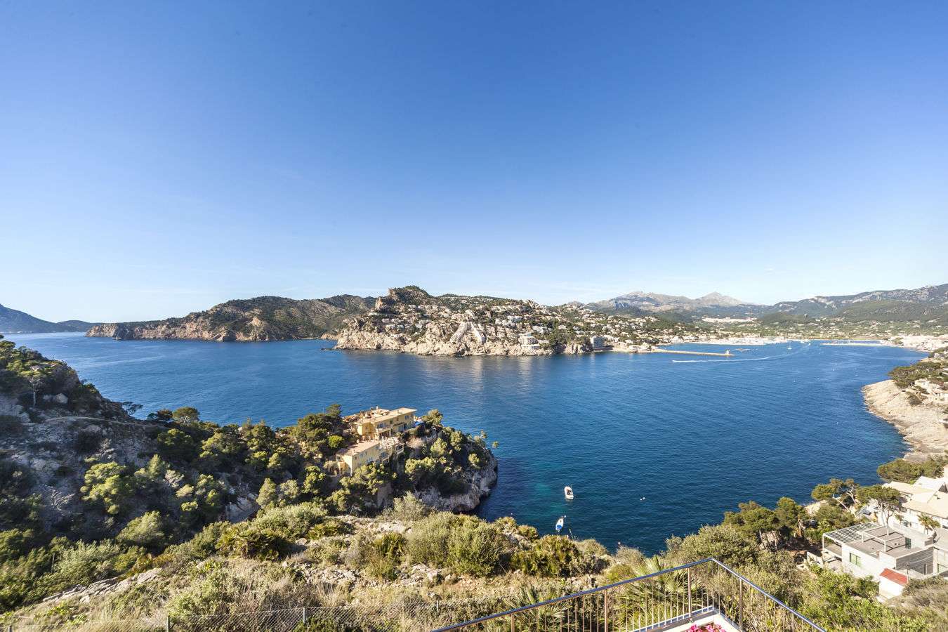 [object Object] - image